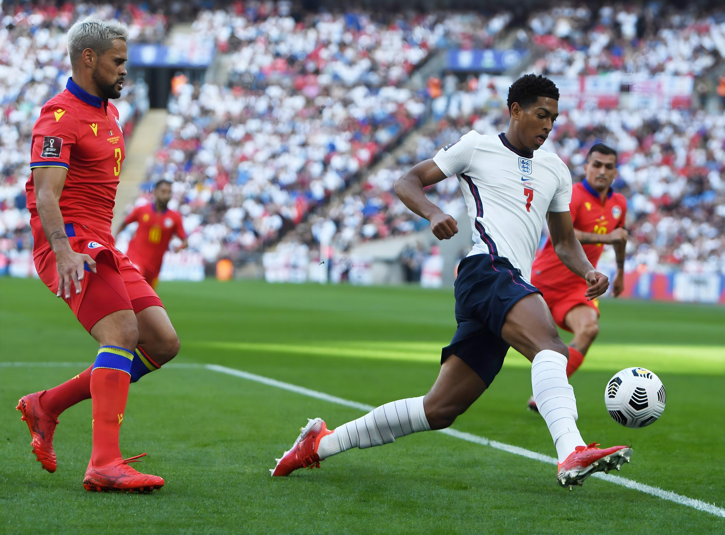 展示了他愿 展示了他愿