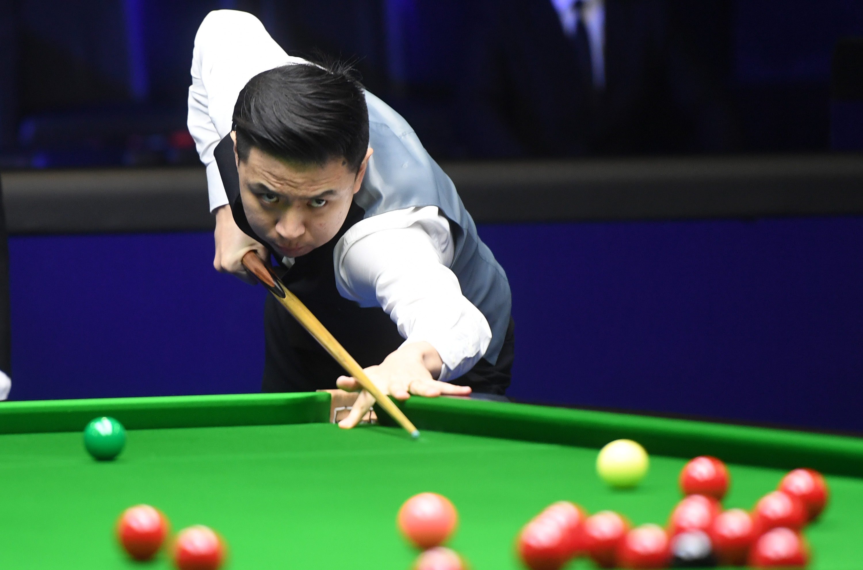 但也提供了 但也提供了