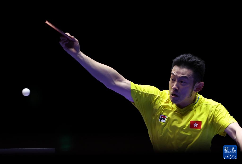 了解这场激 了解这场激